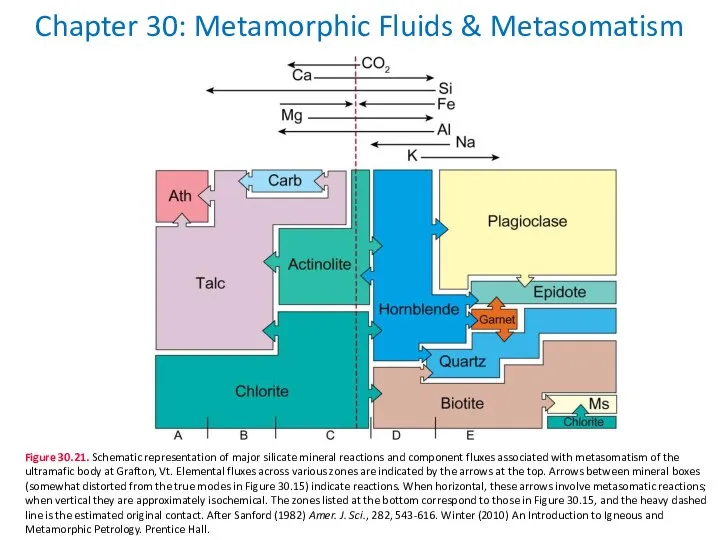 Chapter 30: Metamorphic Fluids & Metasomatism Figure 30.21. Schematic representation of