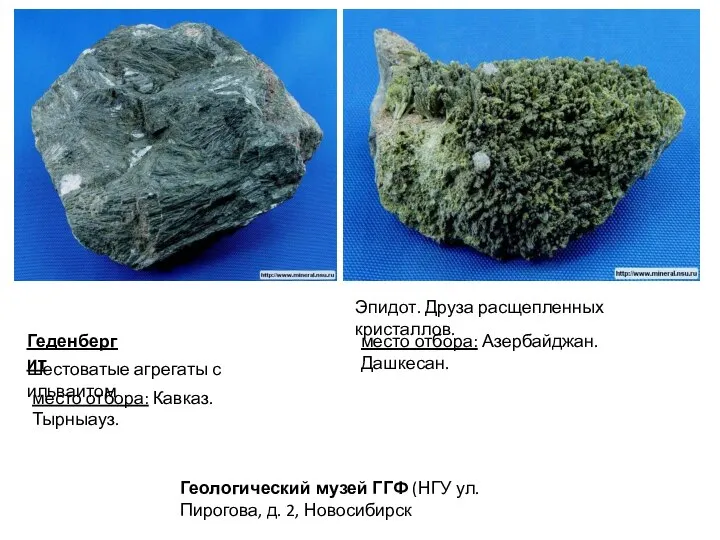 Геденбергит Шестоватые агрегаты с ильваитом место отбора: Кавказ. Тырныауз. Эпидот. Друза