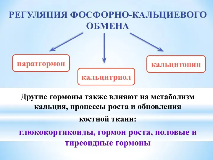 РЕГУЛЯЦИЯ ФОСФОРНО-КАЛЬЦИЕВОГО ОБМЕНА Другие гормоны также влияют на метаболизм кальция, процессы