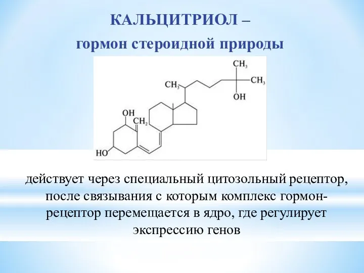 КАЛЬЦИТРИОЛ – гормон стероидной природы действует через специальный цитозольный рецептор, после