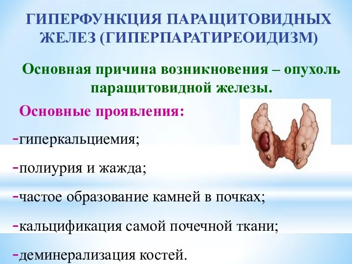 ГИПЕРФУНКЦИЯ ПАРАЩИТОВИДНЫХ ЖЕЛЕЗ (ГИПЕРПАРАТИРЕОИДИЗМ) Основная причина возникновения – опухоль паращитовидной железы.