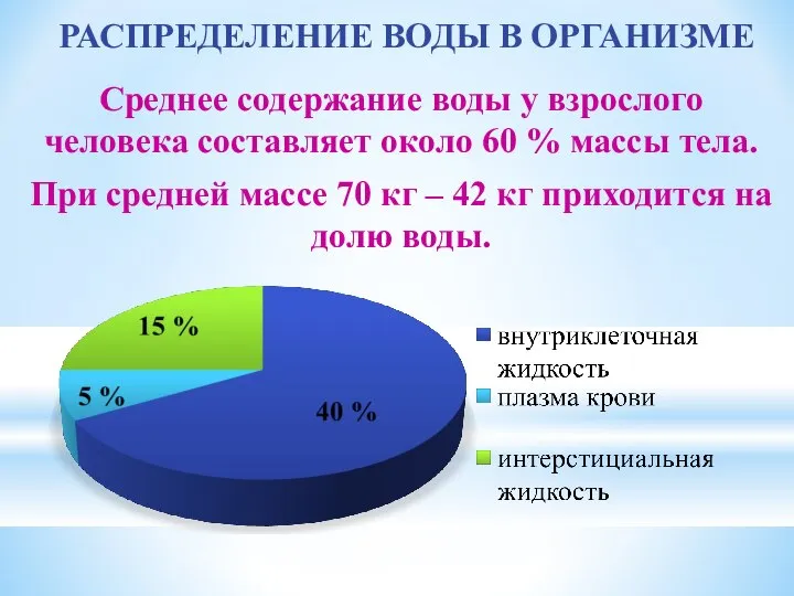 РАСПРЕДЕЛЕНИЕ ВОДЫ В ОРГАНИЗМЕ Среднее содержание воды у взрослого человека составляет