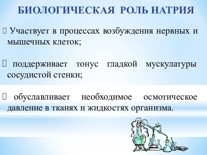 БИОЛОГИЧЕСКАЯ РОЛЬ НАТРИЯ Участвует в процессах возбуждения нервных и мышечных клеток;