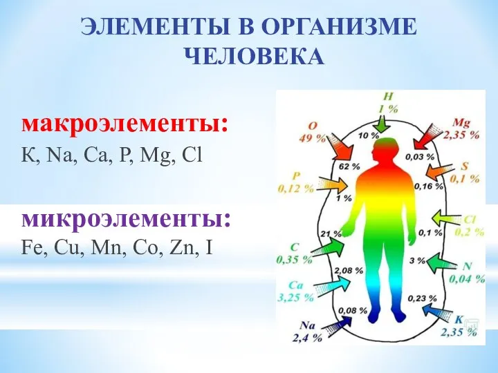 ЭЛЕМЕНТЫ В ОРГАНИЗМЕ ЧЕЛОВЕКА макроэлементы: К, Na, Ca, P, Mg, Cl