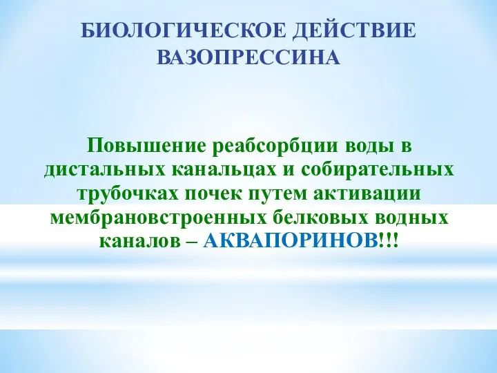 БИОЛОГИЧЕСКОЕ ДЕЙСТВИЕ ВАЗОПРЕССИНА Повышение реабсорбции воды в дистальных канальцах и собирательных