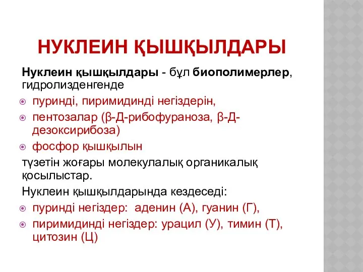 НУКЛЕИН ҚЫШҚЫЛДАРЫ Нуклеин қышқылдары - бұл биополимерлер, гидролизденгенде пуриндi, пиримидиндi негiздерiн,