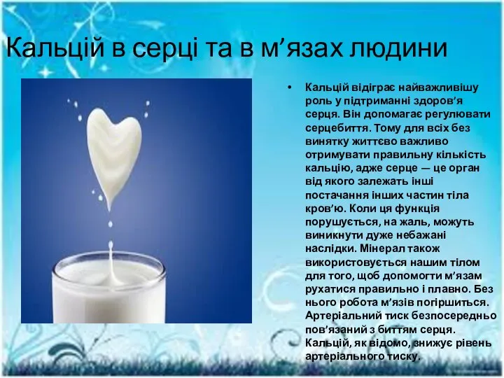 Кальцій в серці та в м’язах людини Кальцій відіграє найважливішу роль