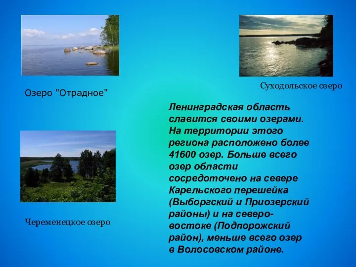 Ленинградская область славится своими озерами. На территории этого региона расположено более