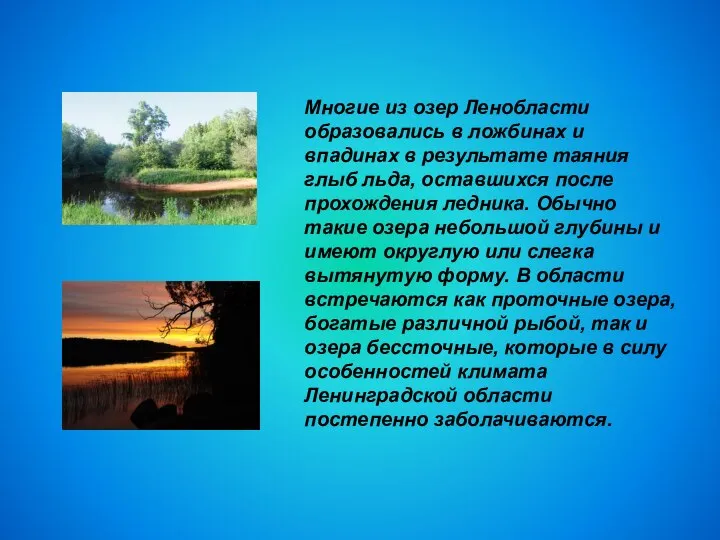 Многие из озер Ленобласти образовались в ложбинах и впадинах в результате