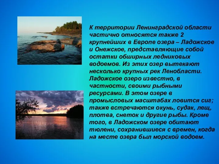 К территории Ленинградской области частично относятся также 2 крупнейших в Европе