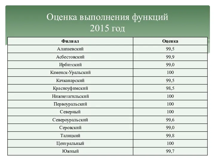 Оценка выполнения функций 2015 год