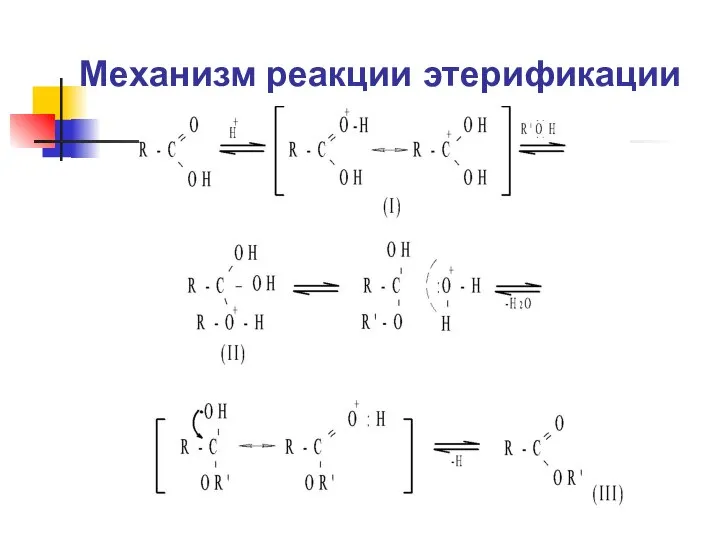 Механизм реакции этерификации