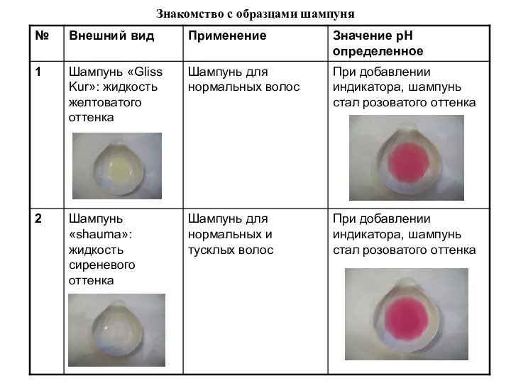 Знакомство с образцами шампуня