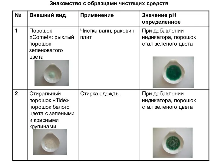 Знакомство с образцами чистящих средств