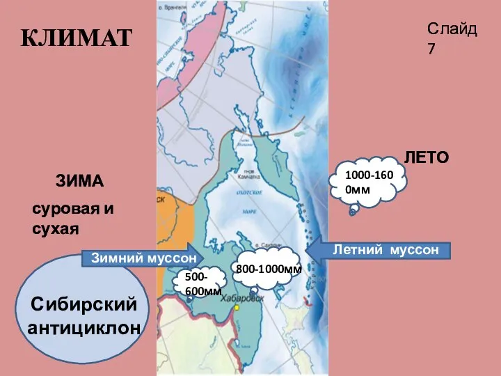 Сибирский антициклон ЗИМА ЛЕТО Летний муссон Зимний муссон КЛИМАТ 800-1000мм 500-