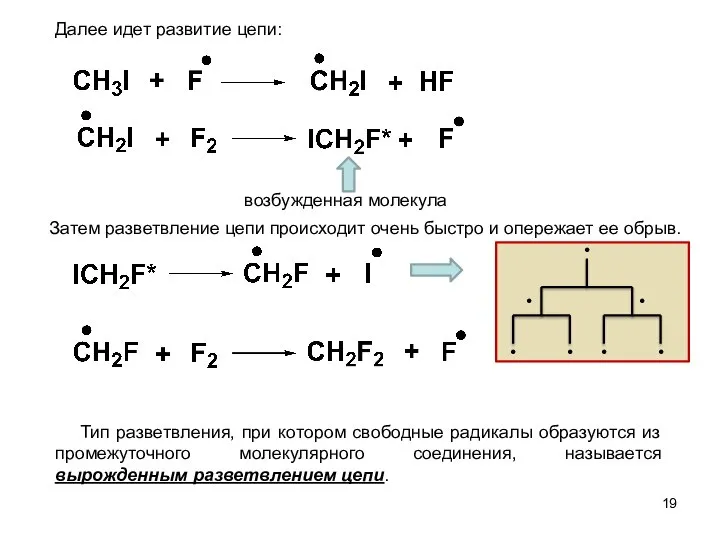 Далее идет развитие цепи: Затем разветвление цепи происходит очень быстро и