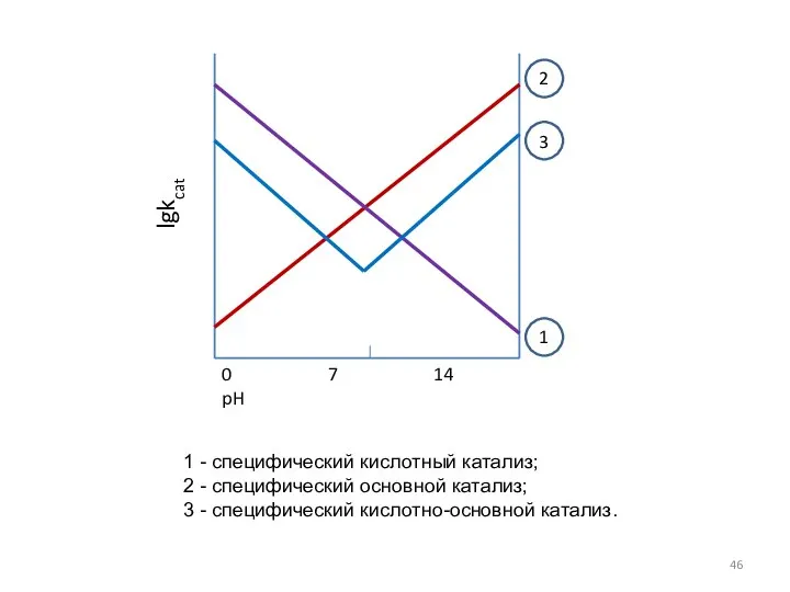 0 7 14 pH lgkcat 1 2 3 1 - специфический