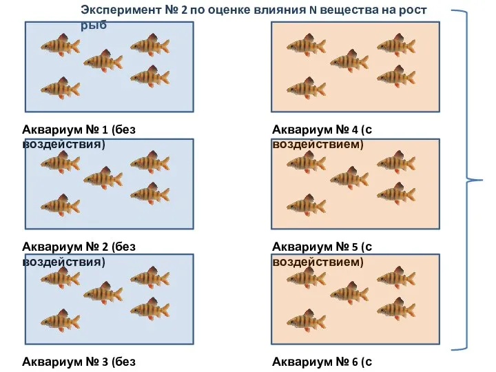 Эксперимент № 2 по оценке влияния N вещества на рост рыб