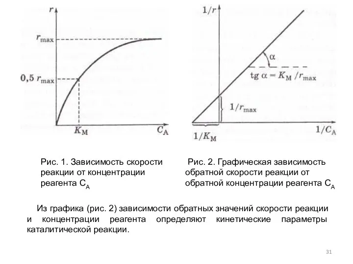 Рис. 2. Графическая зависимость обратной скорости реакции от обратной концентрации реагента