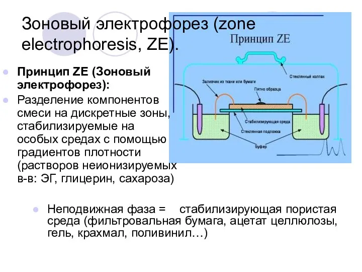 Зоновый электрофорез (zone electrophoresis, ZE). Принцип ZE (Зоновый электрофорез): Разделение компонентов