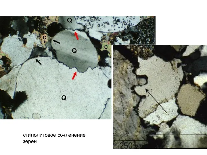 стилолитовое сочленение зерен