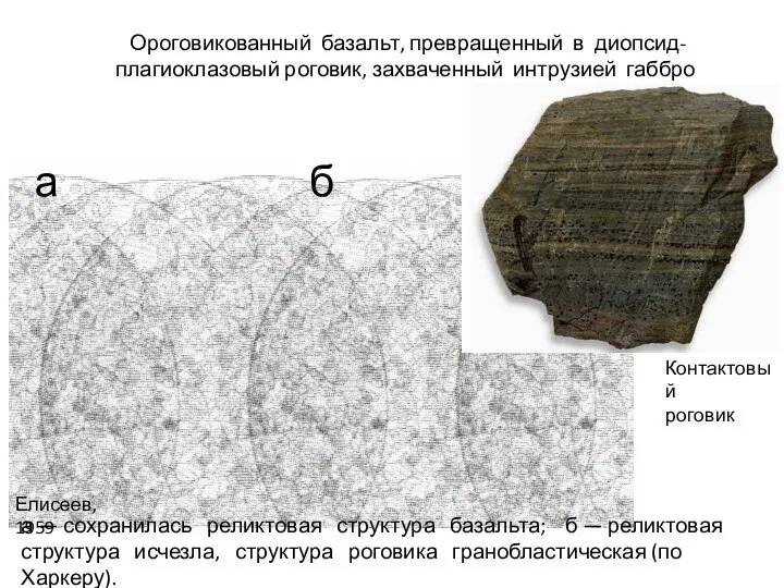 Ороговикованный базальт, превращенный в диопсид-плагиоклазовый роговик, захваченный интрузией габбро Елисеев, 1959