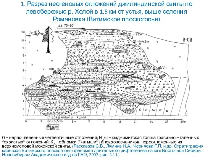 1. Разрез неогеновых отложений джилиндинской свиты по левобережью р. Холой в