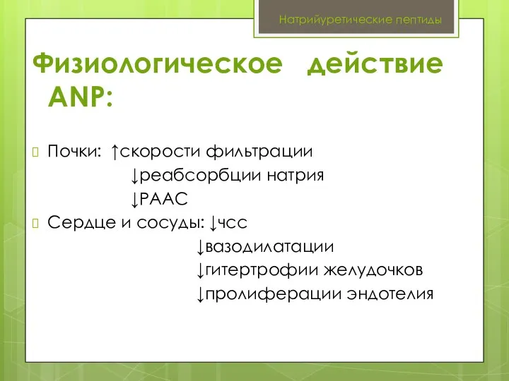 Натрийуретические пептиды Физиологическое действие ANP: Почки: ↑скорости фильтрации ↓реабсорбции натрия ↓РААС