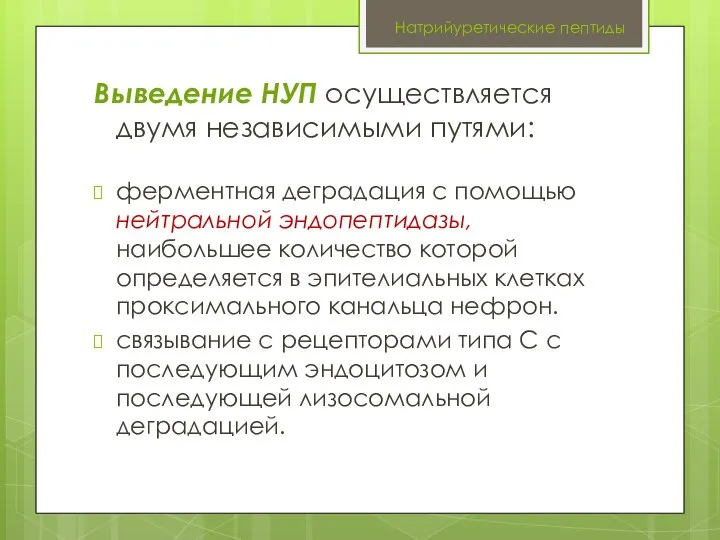 Натрийуретические пептиды Выведение НУП осуществляется двумя независимыми путями: ферментная деградация с