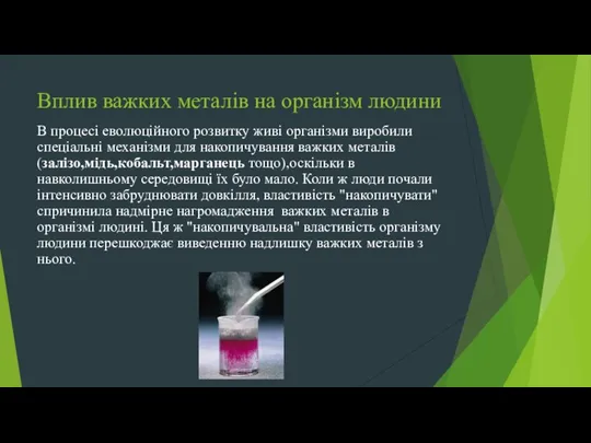 Вплив важких металів на організм людини В процесі еволюційного розвитку живі