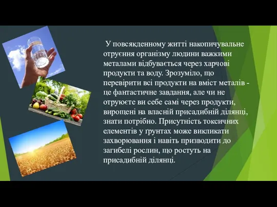 У повсякденному житті накопичувальне отруєння організму людини важкими металами відбувається через