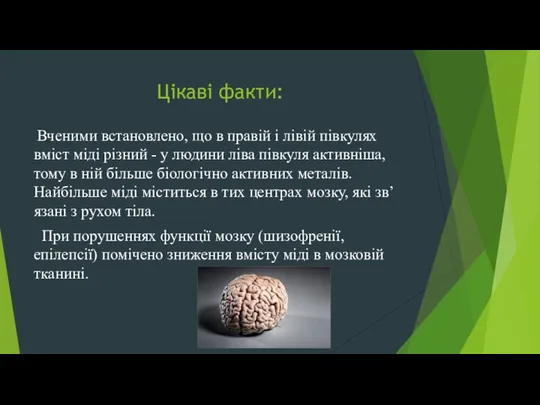 Цікаві факти: Вченими встановлено, що в правій і лівій півкулях вміст