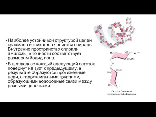 Наиболее устойчивой структурой цепей крахмала и гликогена является спираль. Внутренне пространство