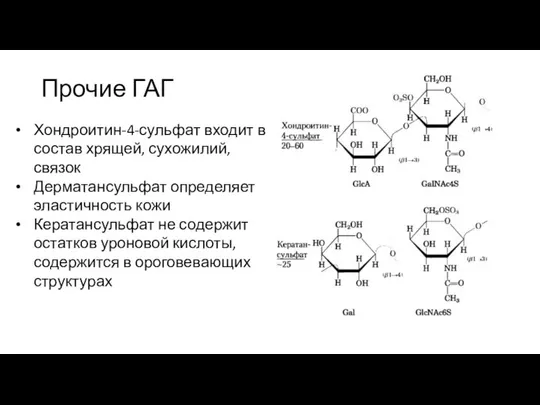 Прочие ГАГ Хондроитин-4-сульфат входит в состав хрящей, сухожилий, связок Дерматансульфат определяет