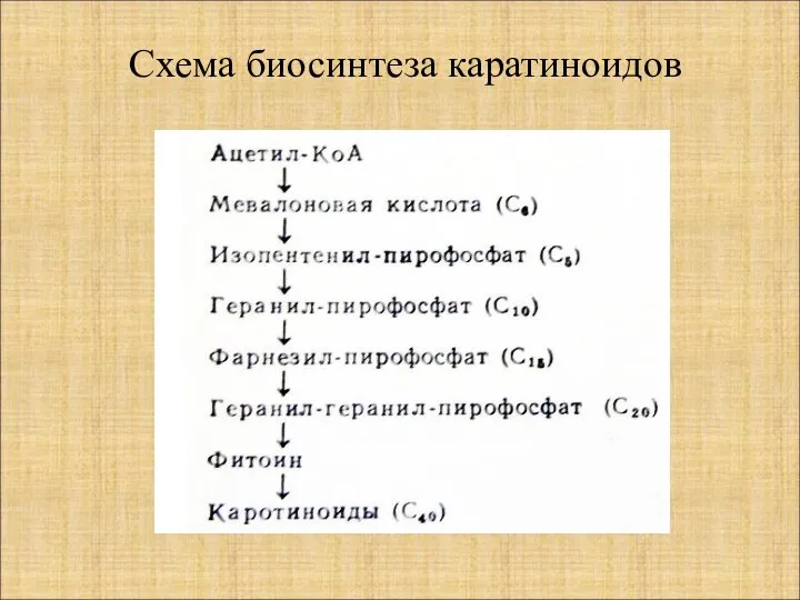 Схема биосинтеза каратиноидов