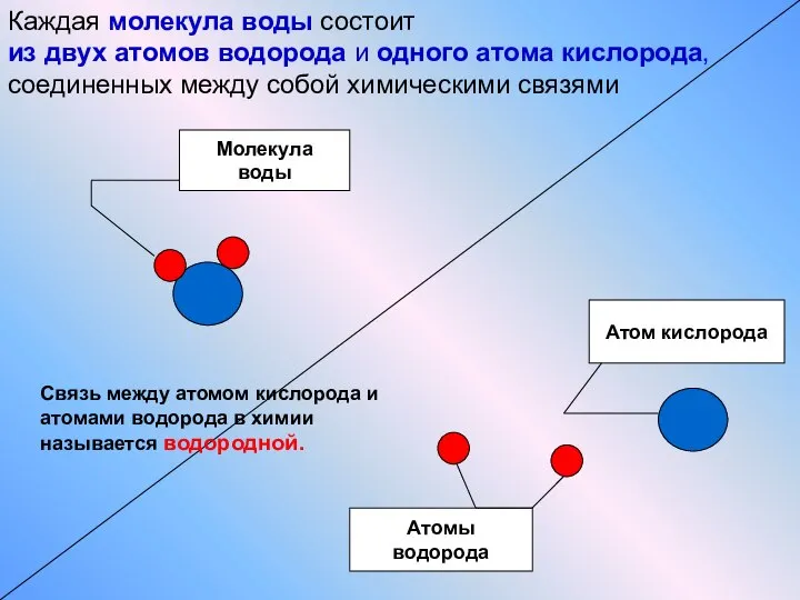 Атом кислорода Атомы водорода Молекула воды Каждая молекула воды состоит из