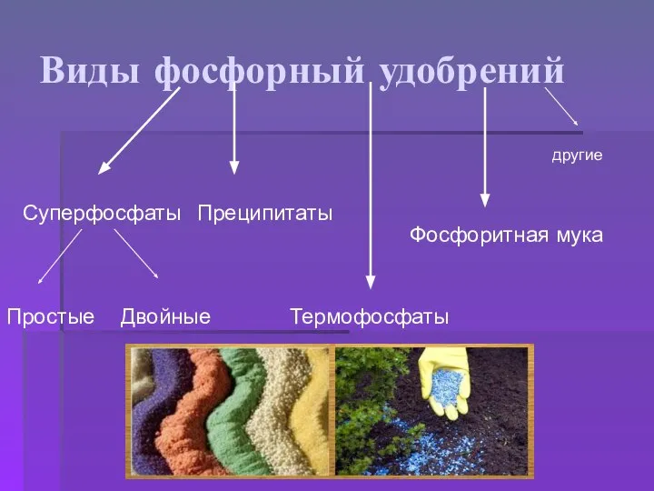 Виды фосфорный удобрений Суперфосфаты Простые Двойные Преципитаты Термофосфаты Фосфоритная мука другие