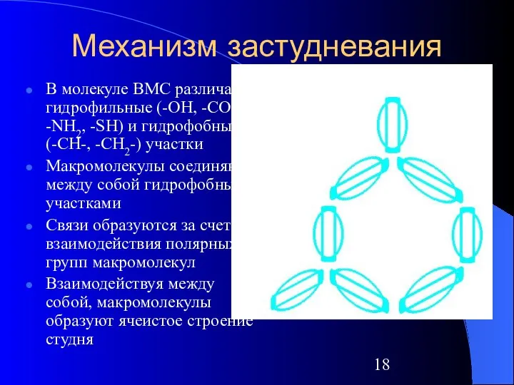 Механизм застудневания В молекуле ВМС различают гидрофильные (-OH, -COOH, -NH2, -SH)