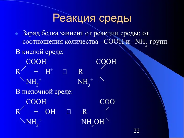 Реакция среды Заряд белка зависит от реакции среды; от соотношения количества