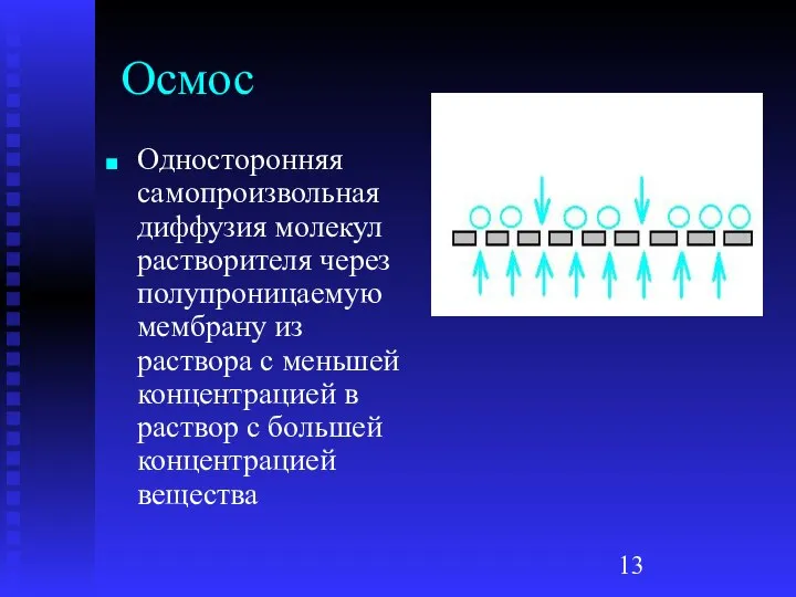 Осмос Односторонняя самопроизвольная диффузия молекул растворителя через полупроницаемую мембрану из раствора