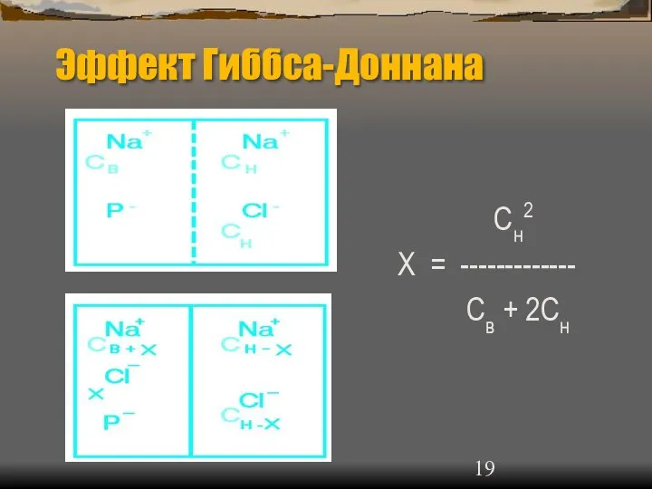 Эффект Гиббса-Доннана Сн2 Х = ------------- Св + 2Сн