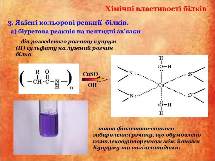 а) біуретова реакція на пептидні зв’язки дія розведеного розчину купрум(ІІ) сульфату