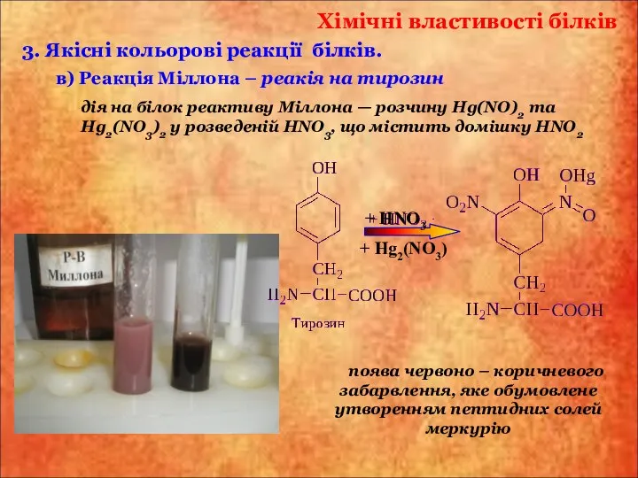 Хімічні властивості білків в) Реакція Міллона – реакія на тирозин 3.
