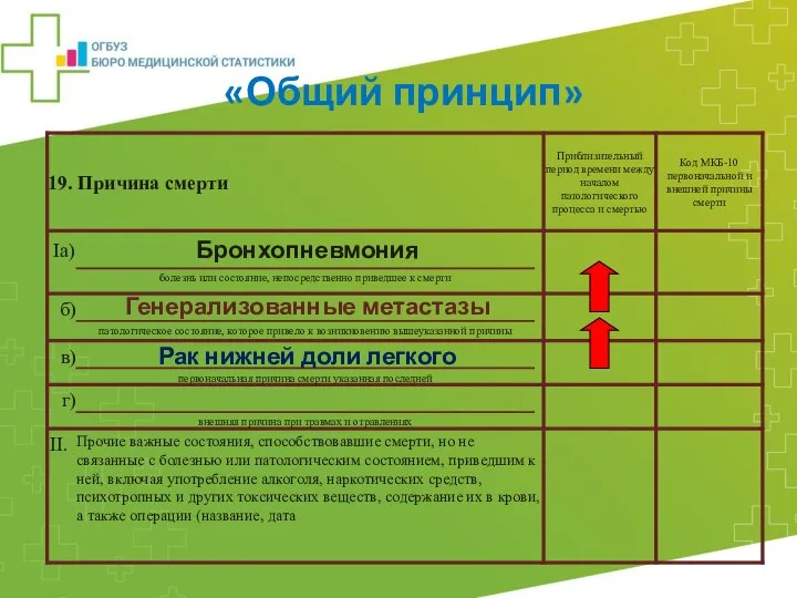 Бронхопневмония Генерализованные метастазы Рак нижней доли легкого «Общий принцип»