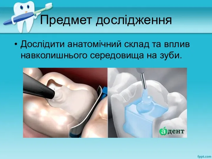 Предмет дослідження Дослідити анатомічний склад та вплив навколишнього середовища на зуби.