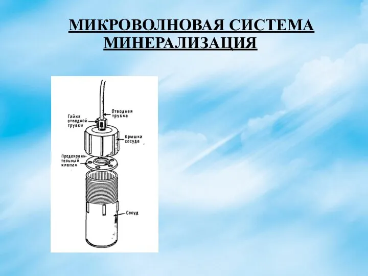 МИКРОВОЛНОВАЯ СИСТЕМА МИНЕРАЛИЗАЦИЯ