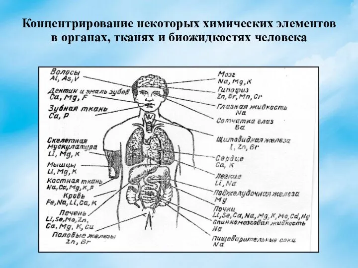 Концентрирование некоторых химических элементов в органах, тканях и биожидкостях человека