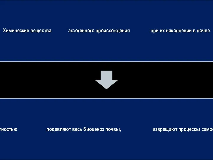 Химические вещества экзогенного происхождения при их накоплении в почве Почти полностью