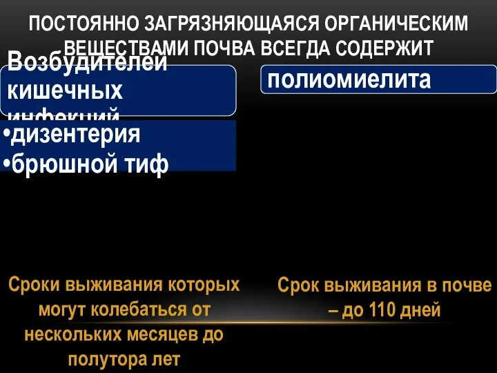 полиомиелита Возбудителей кишечных инфекций дизентерия брюшной тиф ПОСТОЯННО ЗАГРЯЗНЯЮЩАЯСЯ ОРГАНИЧЕСКИМ ВЕЩЕСТВАМИ