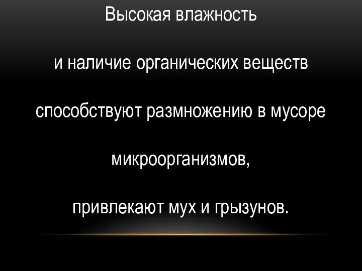 Высокая влажность и наличие органических веществ способствуют размножению в мусоре микроорганизмов, привлекают мух и грызунов.